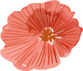 Hochzeit Blume Deko