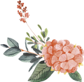Wedding Family Brand Blume